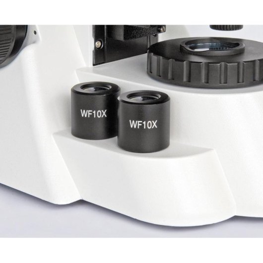 Microscopio Bresser BIOSCIENCE 40-1000X digitale binoculare halogeno AC