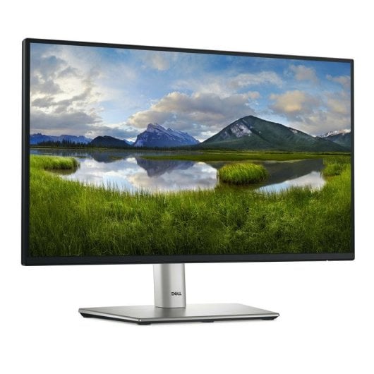 Monitor DELL P2225H 21.5" FullHD 100Hz IPS Tempo de Resposta 8ms USB 3.2