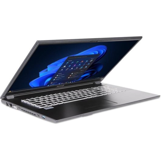 Portátil TERRA MOBILE 1716R 17.3" Intel Core i3-1315U 16GB 500GB SSD Intel UHD Graphics Windows 11 Pro