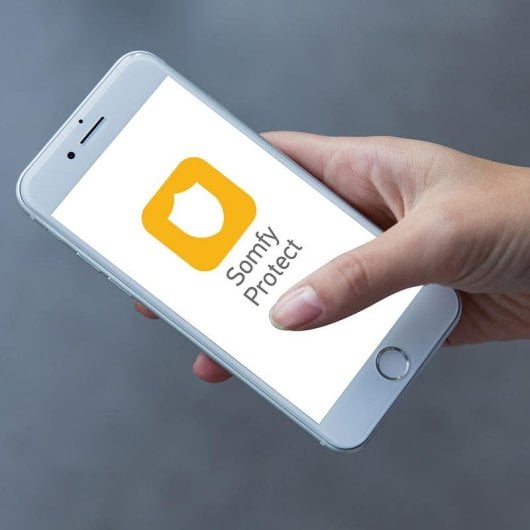 Capteur de Mouvement Somfy 2401490 Sans fil Intérieur Immunité animaux Compatibilité Somfy Home