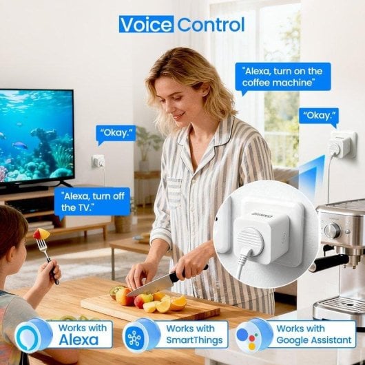 Prise connectée DIINNO 16A Wi-Fi avec commande vocale et statistiques de consommation d'énergie