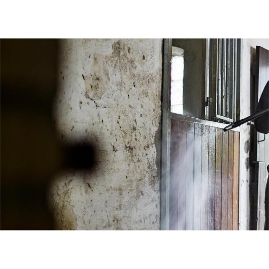 Hidrolimpiadora Nilfisk Premium 200-15 200 bars 3300 W 15 m