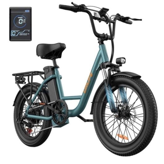 Bicicletta elettrica URLIFE E20 250W 48V 13Ah Fat Tire Verde