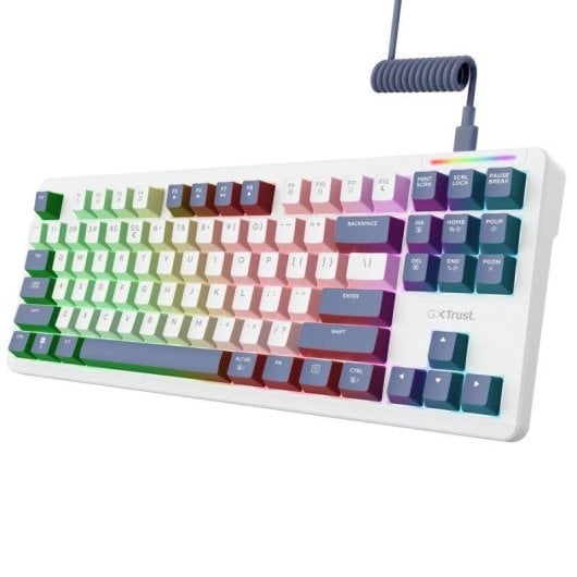 Teclado Trust GXT872 Xyra mécanique TKL Layout Español RGB switches hot-swap