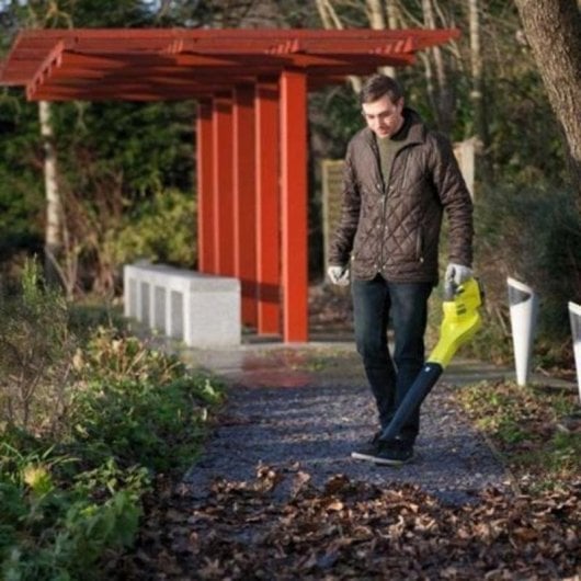 Souffleur Ryobi ONE+ RBL1820S40F 18V Compact Batterie 4,0Ah Chargeur