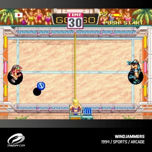 Evercade Windjammers Karnov & Friends