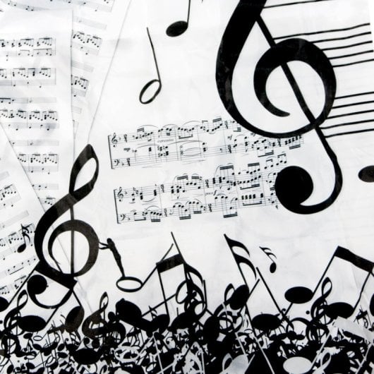 Javier Música - Bolsa Para Compra Plegable Y Reutilizable De Gran Capacidad