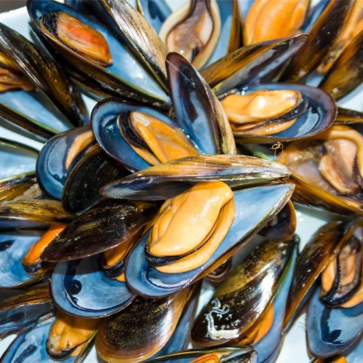 Ibili Moules - Pentola per cozze in acciaio smaltato da 18 cm con coperchio speciale. Turchese