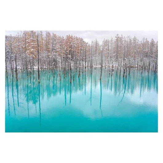 Objectif Sigma 35 mm F2 DG Contemporary à monture L avec pare-soleil inclus