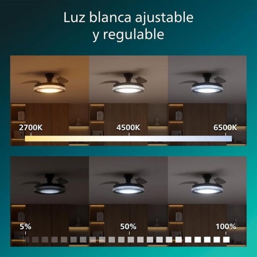 Ventilateur de plafond Philips Bliss 106 cm LED 4500 lm noir télécommande