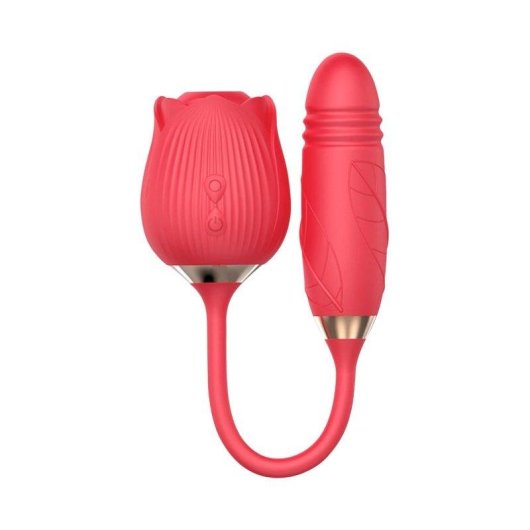 Vibrator Do You Erotic Succhia Clitoride Punkt G Teleskopisch 10 Modi IPX7