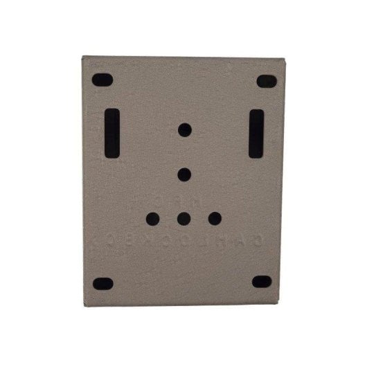 Boîtier de sécurité Bushnell FL119CASE pour caméras Core et Core DS antivol