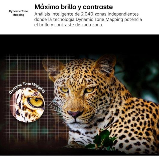 TV LG LED IA 43UA75006LA 43" 4K UltraHD 60Hz Smart TV WebOS HDR10