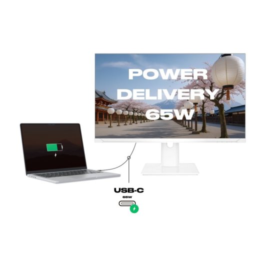 Monitor JAPANNEXT JN-i27QR-C65W-HSP-W 27" WQHD 75Hz IPS Branco USB-C 65W 8ms