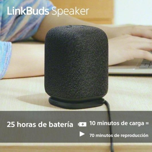 Auriculaires Sony LinkBuds Clip sans fil Bluetooth sport, contrôle tactile, IPX4, noir