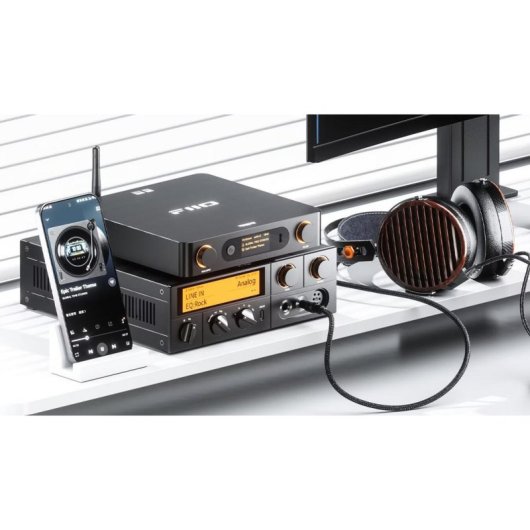 Ricevitore Bluetooth FiiO BR15 R2R 2,2 Vrms RCA/XLR Hi-Res LCD EQ 10 Bande