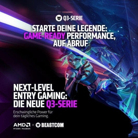 PC de bureau BEASTCOM Q3 AMD Ryzen 5 8Go 512Go SSD Vega 11 Windows 11 Pro WiFi HDMI RGB