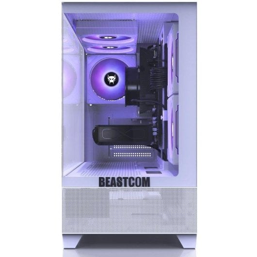 PC fisso BEASTCOM Q5 AMD Ryzen 5 8400F 16GB 1TB SSD RTX 5060 Windows 11 Pro WiFi 5