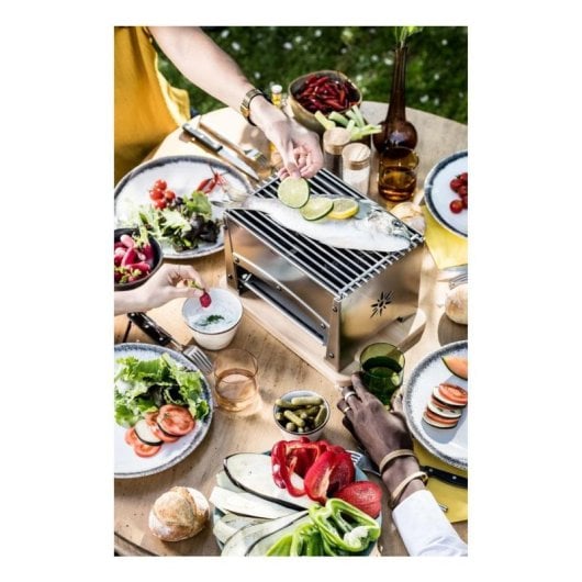 Barbecue Louis Tellier BRASI-F inox plancha extérieure 60x32 cm