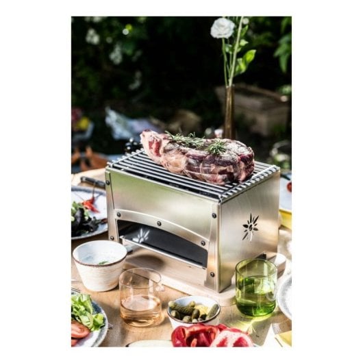 Barbecue Louis Tellier BRASI-F inox plancha extérieure 60x32 cm
