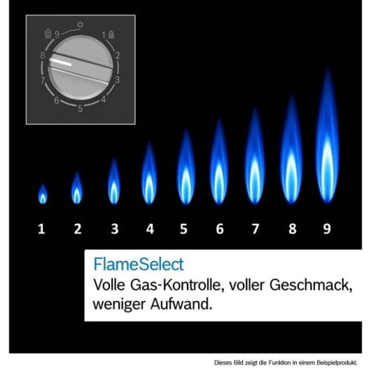 Plaque Bosch Serie 8 PRB3A6I40 Gaz 2 Zones FlameSelect Verre Noir 30 cm