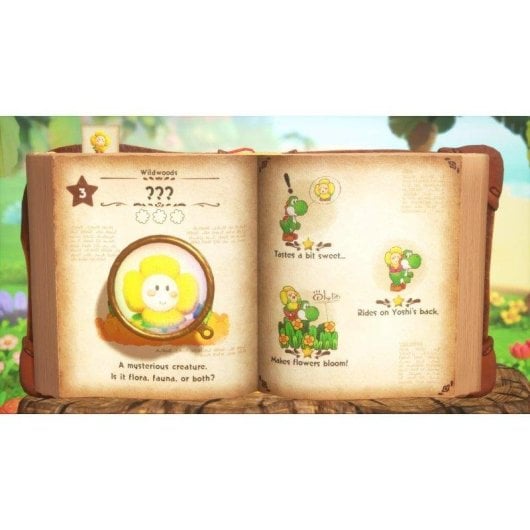 Yoshi and the Mysterious Book SWITCH 2