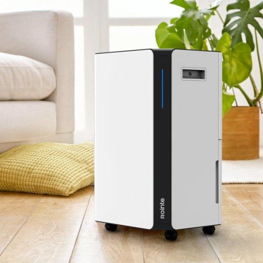 Desumidificador Rointe Drypure 16L Portátil Drenagem Contínua LED 38dB