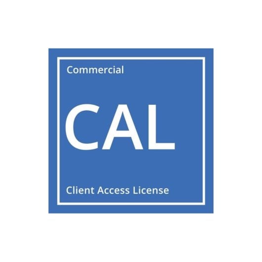 Software HPE Windows Server 2025 50 CAL Multilíngue Download Digital