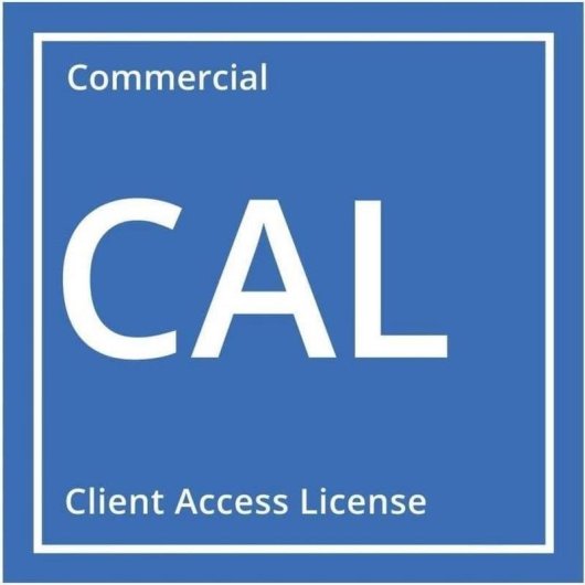 Licenza utente HPE Windows Server 2025 CAL 1 utente digitale OEM