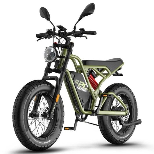 Bicicletta elettrica Fafrees F20 Ultra 750W 48V25Ah 20 pollici Verde