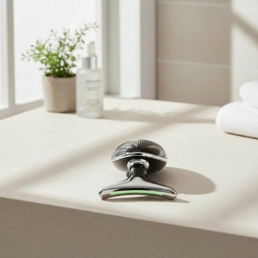 Gesichtsreinigungsgerät BODYLIFE EMS LED Ionen Positiv Negativ Wärme