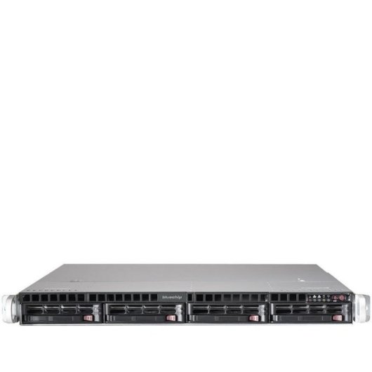 Server Bluechip SERVERline R31309s AMD EPYC 4124P 32GB 1,92TB SSD Rack 1U