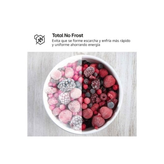 Frigorífico Dos Puertas LG GTBV20SWZJD No Frost 168cm 266L E Blanco