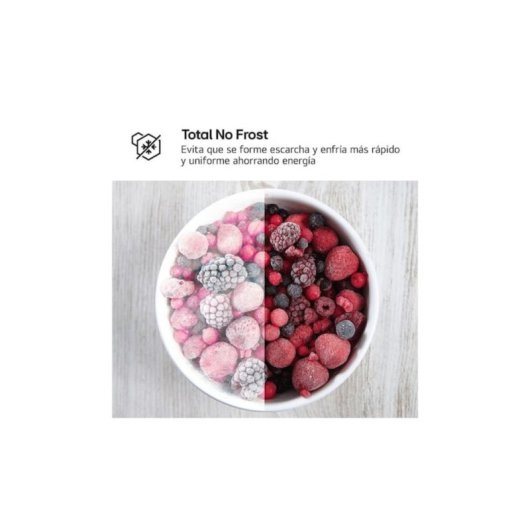 Frigorífico Duas Portas LG GTBV22PYNJ No Frost 145cm 217L E Inox