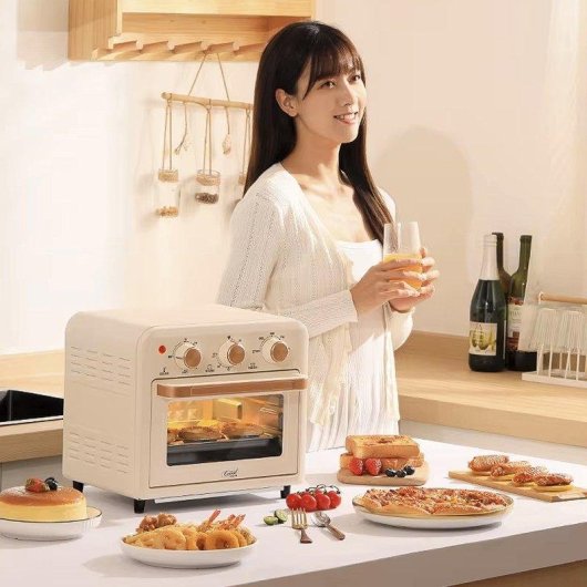 Horno électrique Dam Electronics Air Fryer 15 litres Noir avec panneau mécanique et système 360°