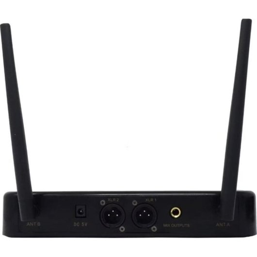 Microfone Empire W-601II C sem fio e com fio cardioide dupla unidade