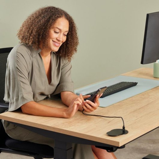 Multiprise Fellowes 100137177 1 prise Type F 2 USB-A/C 2 m Noir