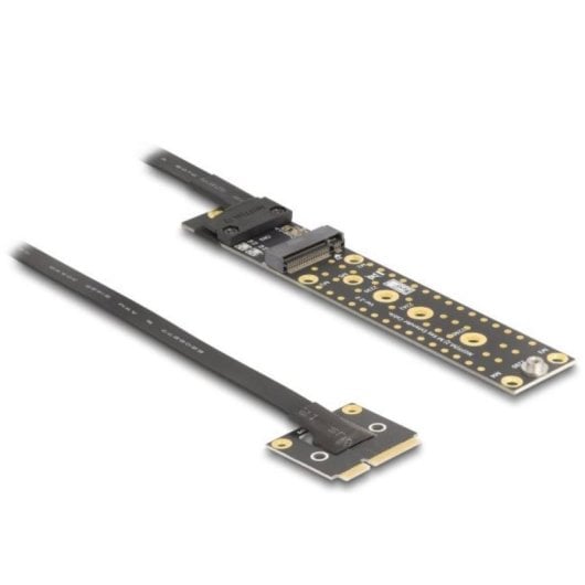 Adaptateur Delock 81501 M.2 vers Mini PCIe câble 20 cm noir