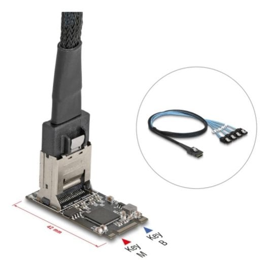 Câble Delock 64260 M.2 Mini-SAS 4 ports SATA Hot-Swap 1 m