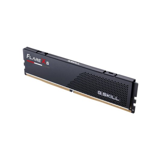 Memoria RAM G.Skill Flare X5 16GB 1x16GB DDR5 6000MHz CL38 AMD EXPO Dissipatore