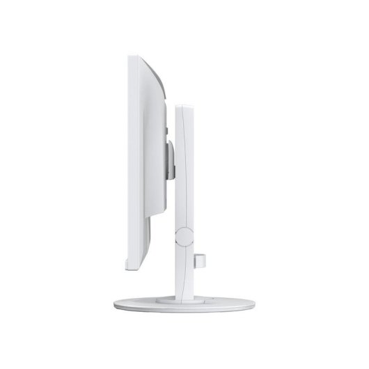 Monitor PC Eizo FlexScan EV2400R-WT 23,8" FullHD 100Hz IPS Regolabile in altezza