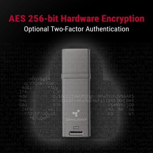 Memoria USB Origin Storage DL GO 64 GB USB 3.2 Gen 2 AES 256 Bit IP68 Gris