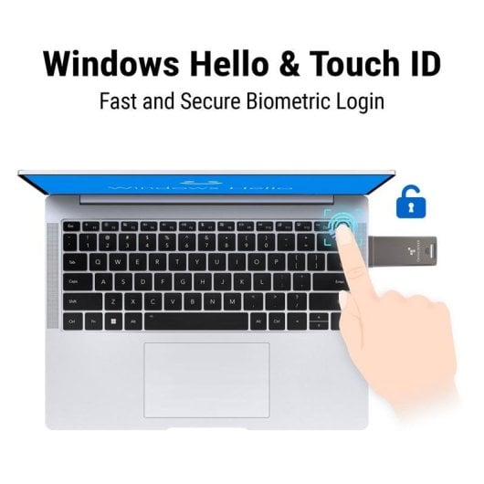 Memoria USB Origin Storage DL GO 16GB USB 3.2 Gen 2 AES256 FIPS IP68 Gris