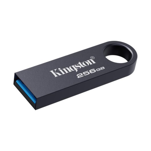 Memoria USB Kingston DataTraveler SE9 G3 256 GB USB 3.2 Gen 1 metálica