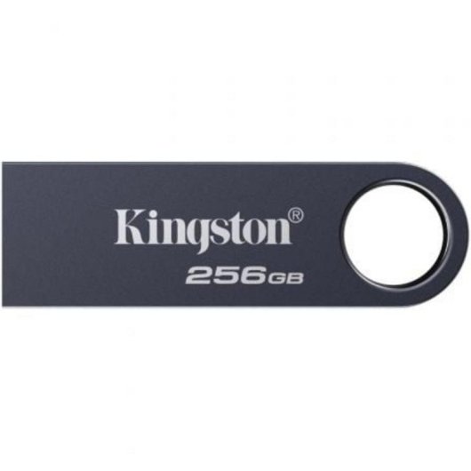 Memoria USB Kingston DataTraveler SE9 G3 256 GB USB 3.2 Gen 1 metálica