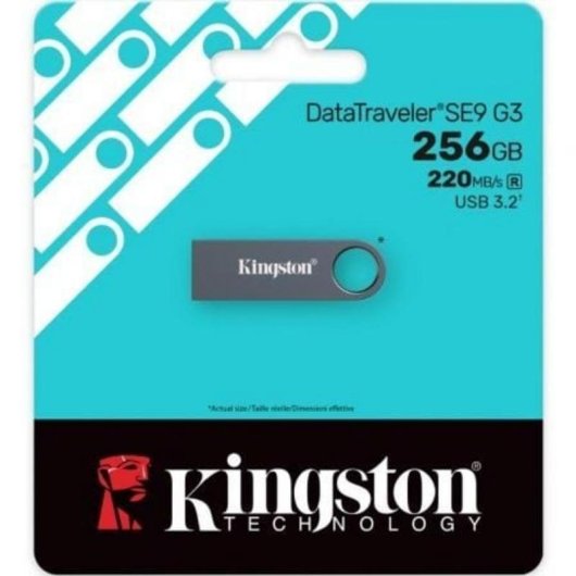 Memoria USB Kingston DataTraveler SE9 G3 256 GB USB 3.2 Gen 1 metálica
