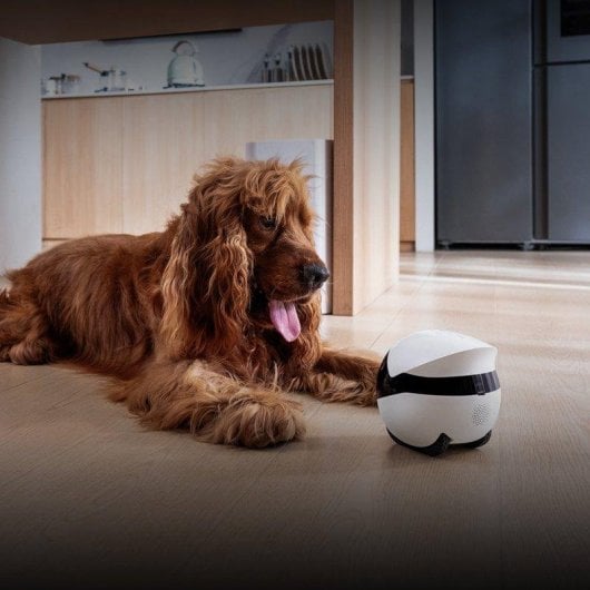 Überwachungskamera Enabot EBO Air 2 Plus 3K Innen KI Zwei-Wege-Audio