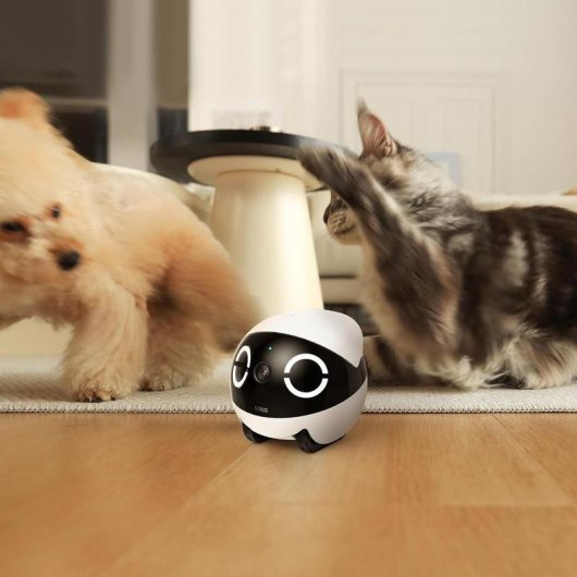 Câmera de vigilância Enabot ROLA Mini 2K Visão Noturna Interna Áudio Bidirecional