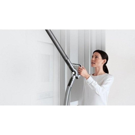 Aspirapolvere senza Sacco Dyson Big Ball Absolute 2 Ciclone Nichel 7920g