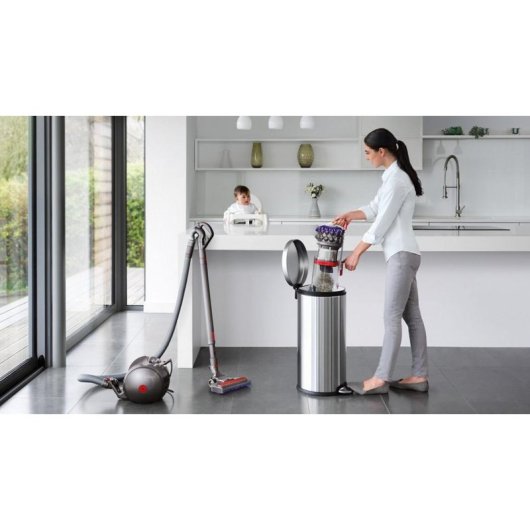 Aspirateur sans Sac Dyson Big Ball Absolute 2 Ciclonic Accessoires Nickel